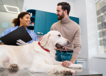 Desvendando os Bastidores Corporativos: Insights e Tendências no Mundo dos Negócios