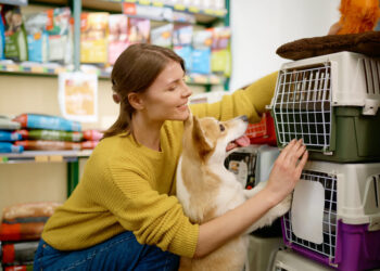 O boom do mercado veterinário: inovações e rumos promissores