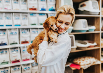 Mercado Veterinário em Ascensão: Inovações e Perspectivas Promissoras