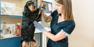 Perspectivas Brilhantes no Mercado Veterinário: Inovações e Transformações