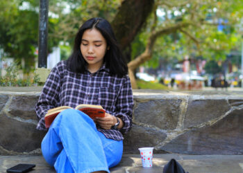 Políticas Inteligentes: Estratégias Eficientes para o Desenvolvimento