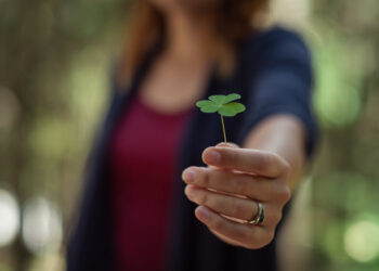 Estratégias Políticas: Análise Detalhada das Táticas e Consequências