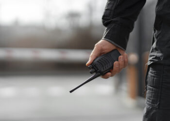 Segurança Pública e Políticas Sociais em Brasília: Desafios e Estratégias para um Futuro Mais Seguro